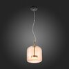 Светильник подвесной ST Luce Palochino SL1053.273.01