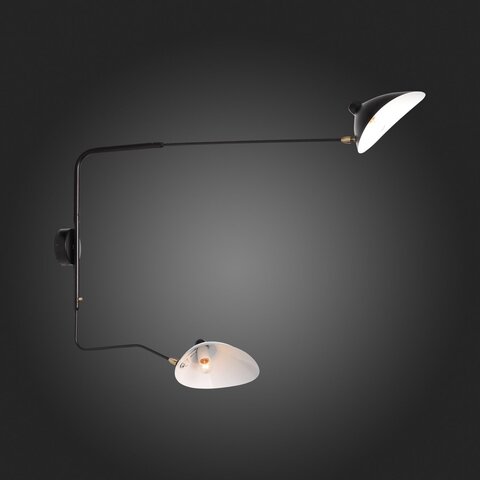 Светильник настенный ST Luce Spruzzo SL305.401.02