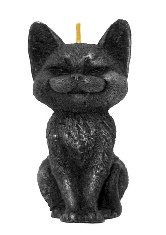 Хитрый кот