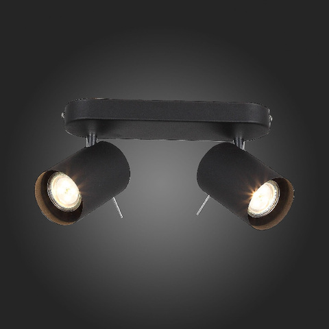 Потолочный светильник ST Luce FANALE SL597.401.02