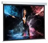 Экран Cactus 168x299см Wallscreen CS-PSW-168x299 16:9 настенно-потолочный рулонный белый