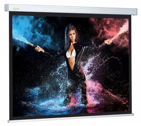 Экран Cactus 168x299см Wallscreen CS-PSW-168x299 16:9 настенно-потолочный рулонный белый