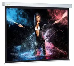 Экран Cactus 168x299см Wallscreen CS-PSW-168x299 16:9 настенно-потолочный рулонный белый