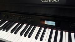 Цифровые пианино Casio AP-700