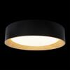 Потолочный светильник Loft It Coin 10202 Black