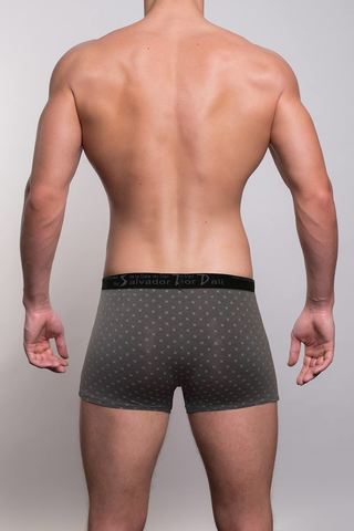 Мужские трусы 1002 Grey Salvador Dali