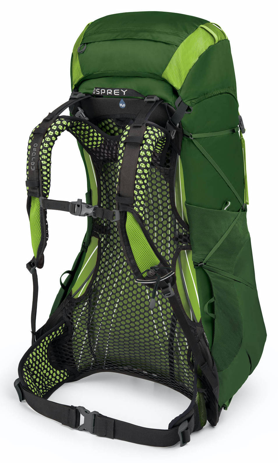 Osprey exos 58. Osprey Exos 38. Рюкзак Osprey. Рюкзак с вентилируемой спинкой.