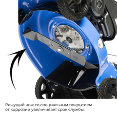 Газонокосилка Нева KCL17C (2,5кВт, 430мм, 50л,25-75мм) в интернет-магазине ЯрТехника