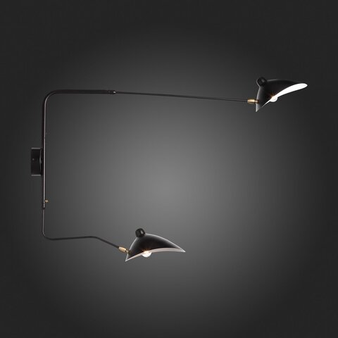 Светильник настенный ST Luce Spruzzo SL305.401.02