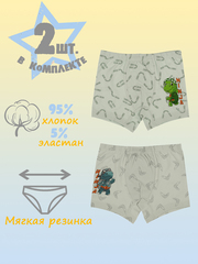 Боксеры для мальчика (2 штуки в упаковке)
