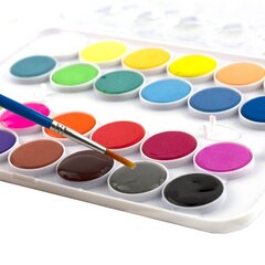 
          Акварель Yalong меловая, 24 цвета, с кистью, пластик. упаковка, "Animal"