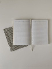 ЕЖЕДНЕВНИК 