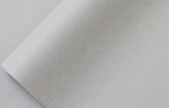 Обои W189003 Bright Whisper Wall Up