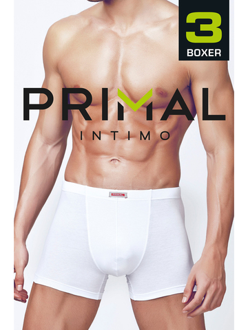 Комплект мужских трусов B1201 Boxer (3 пары) Primal