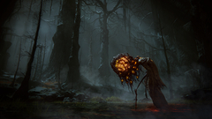 Elden Ring: Shadow of the Erdtree Collectors Edition (PS5)