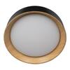 Потолочный светильник Loft It Coin 10202 Black
