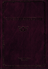 Соматоневрология. Руководство