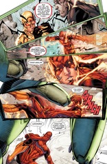 The Flash, Vol. 8: Zoom
