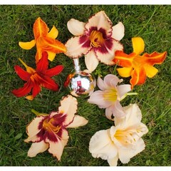 Спрей очищающий Gvibe Gjuice Toy Cleaner, антибактериальный, 60 мл