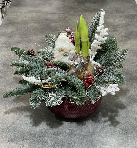 Композиция с амариллисом