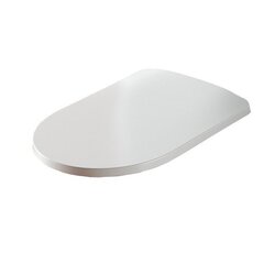 MNA001 05 71 Artceram MONET Крышка с сиденьем Slim для унитаза, механизм soft-close, цвет белый матовый/хром фото