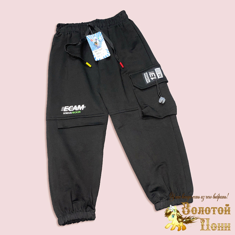Брюки спортивные м (3-7) 250311-W2090