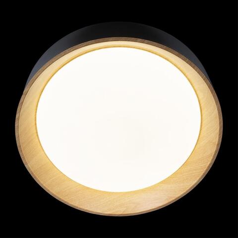 Потолочный светильник Loft It Coin 10202 Black