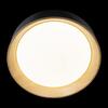 Потолочный светильник Loft It Coin 10202 Black