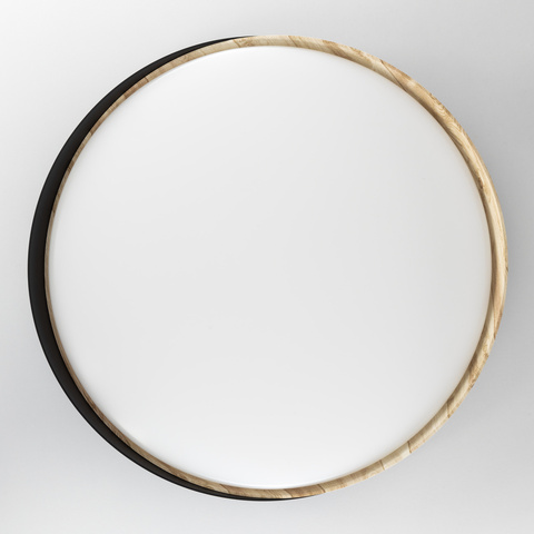 Потолочный светодиодный светильник Citilux BONNY CL754451G