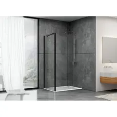 Abber AG100BS Душевая перегородка ABBER Schwarzer Diamant AG100BS фото