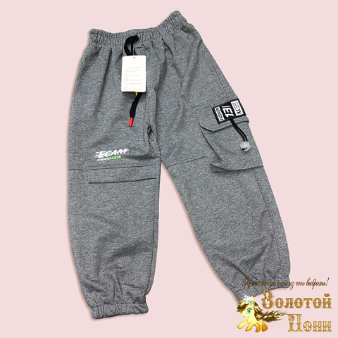 Брюки спортивные м (3-7) 250311-W2091