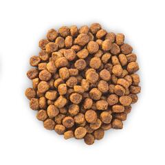 Hill's сухой корм для щенков мелких и миниатюрных пород (курица) 1,5 кг