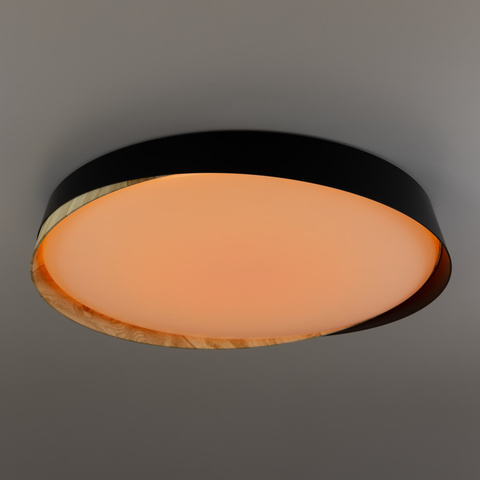 Потолочный светодиодный светильник Citilux BONNY CL754451G