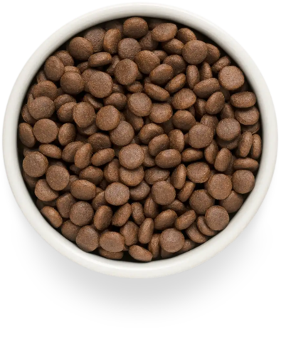 PREMIER Свежее мясо индейки для юниоров