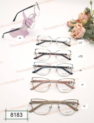 Оправа очков Alanie A8183 Алания