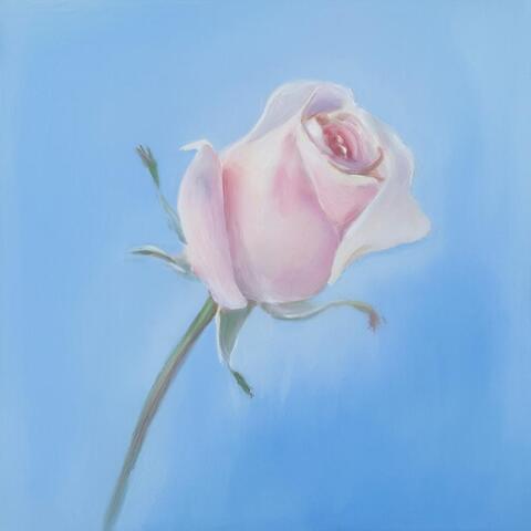 Эфирное масло розы (Rose oil), 10гр