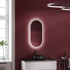 OV55F Зеркало SANCOS "Oval Led", фронтальная подсветка 550х1050
