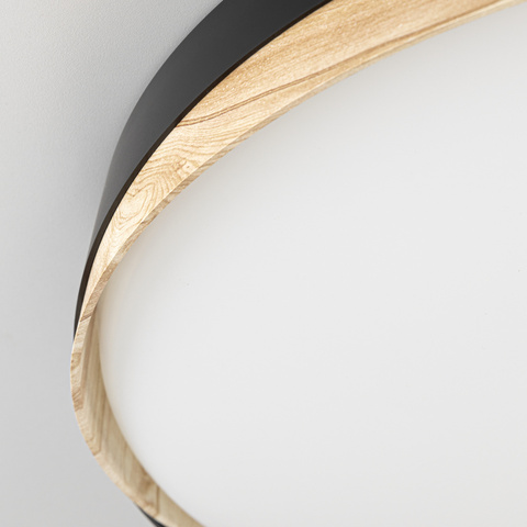 Потолочный светодиодный светильник Citilux BONNY CL754451G