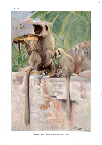 Хромолитография «Гульман»