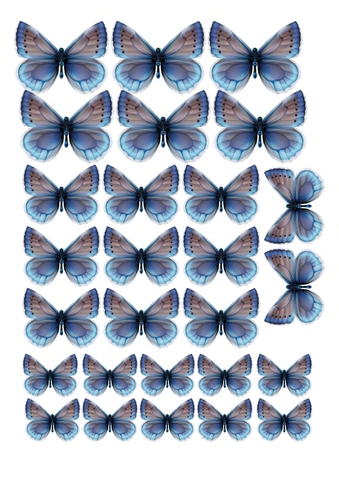 Вафельная картинка Бабочки 8