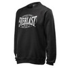 Толстовка Everlast  Authentic Black