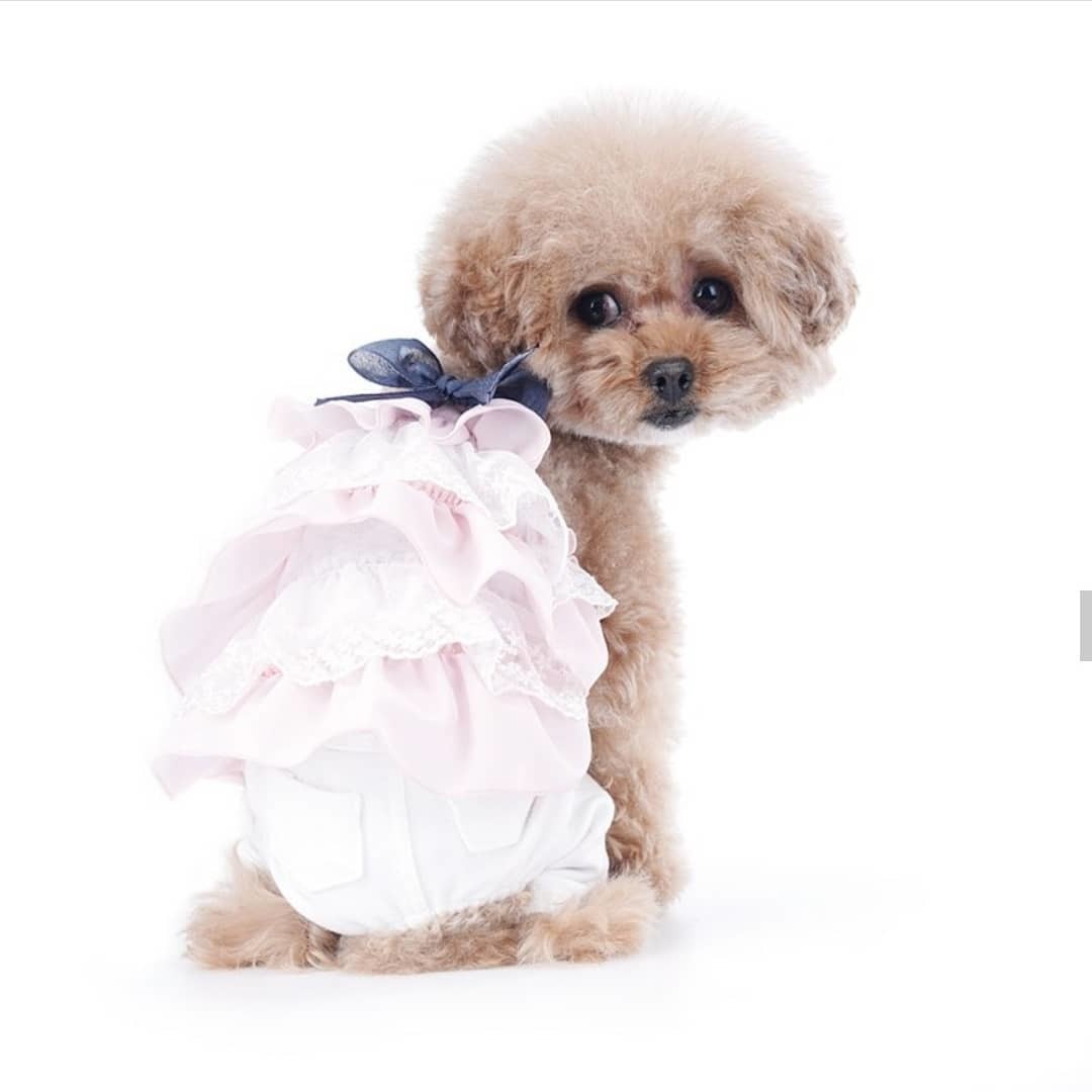 розовый костюм для собаки купить