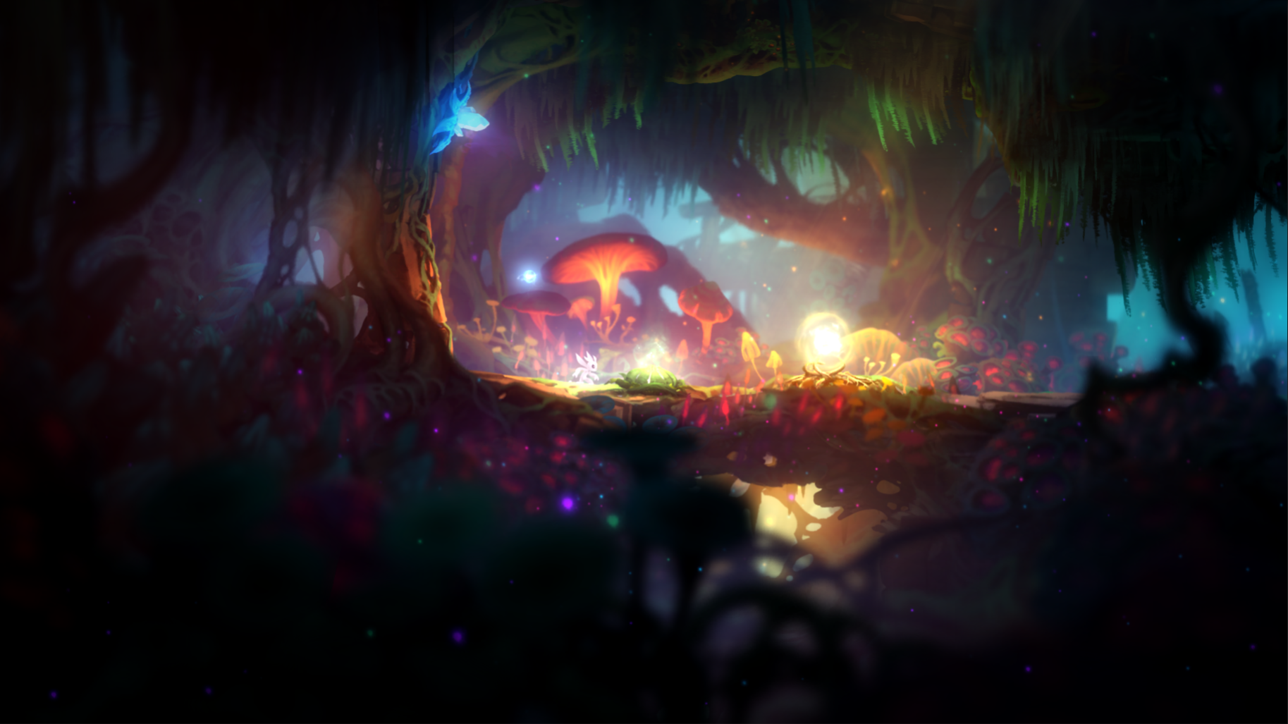 Щкш фтв еру идштв ащкуые. Ori and the blind forest definitive edition. Ori definitive edition. Ori and the blind forest диск. Ori игра.