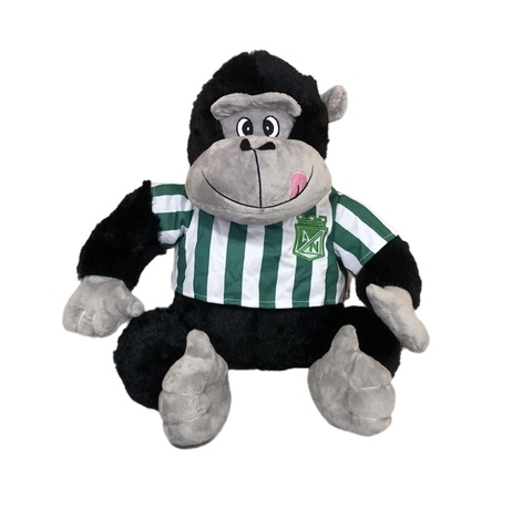 მაიმუნი