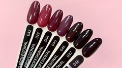 Гель Лак  Hukko Professional 048