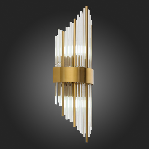 Светильник настенный ST Luce Nitido SL1158.301.02