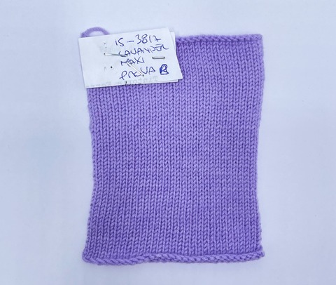 Zegna Baruffa (пр.Италия), art-Maxi, 460м/100гр. 100%Меринос,  цвет-Лаванда, арт-35357