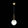 Светильник подвесной ST Luce Sofio SL1054.203.01