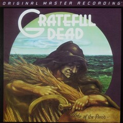 Grateful Dead / Wake Of The Flood (LP)