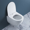 Унитаз подвесной безободковый BelBagno AMANDA BB051CHR